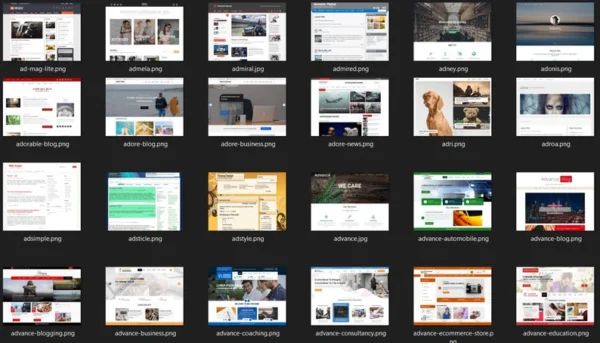 Wordpress Theme Collection Custom Website Wordpress Template Ecommerce Template Health Coach Template Blogger Template Porfolio Theme - Image 4