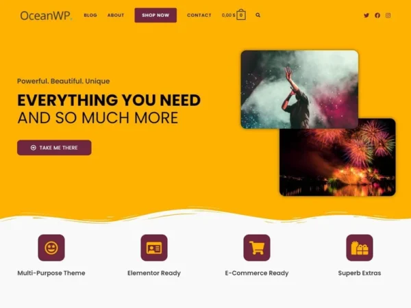 Wordpress Theme Collection Custom Website Wordpress Template Ecommerce Template Health Coach Template Blogger Template Porfolio Theme - Image 3